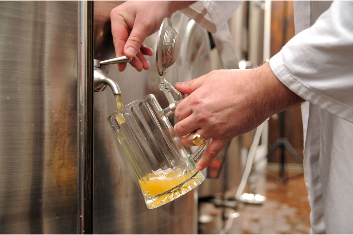 10 Best Catskills Breweries To Try Today